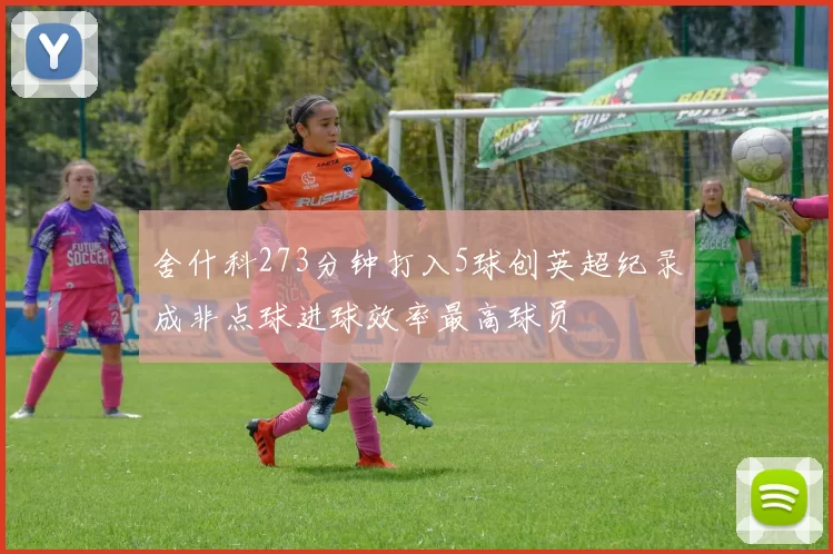 舍什科273分钟打入5球创英超纪录成非点球进球效率最高球员