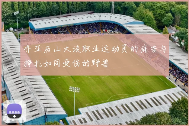 乔亚历山大谈职业运动员的痛苦与挣扎如同受伤的野兽